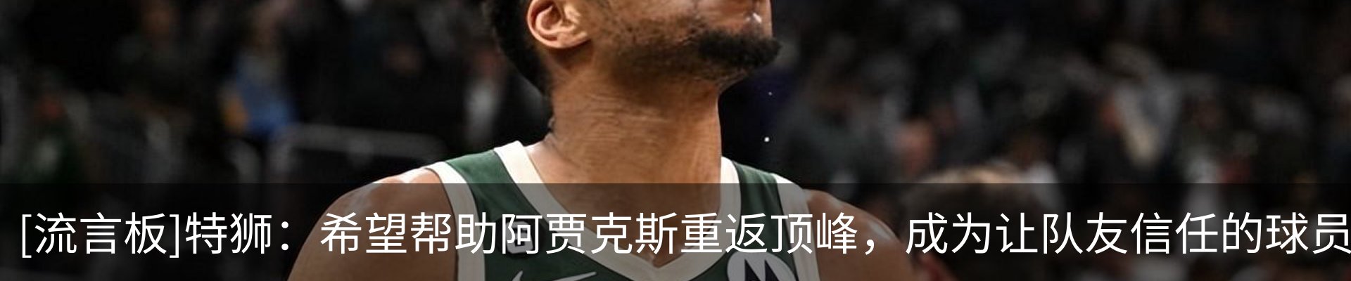 资讯动态